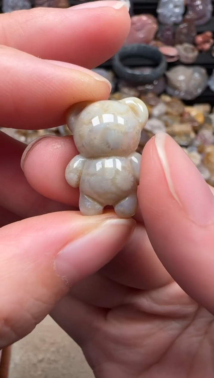 颈饰未镶嵌硅化珊瑚（珊瑚玉）249