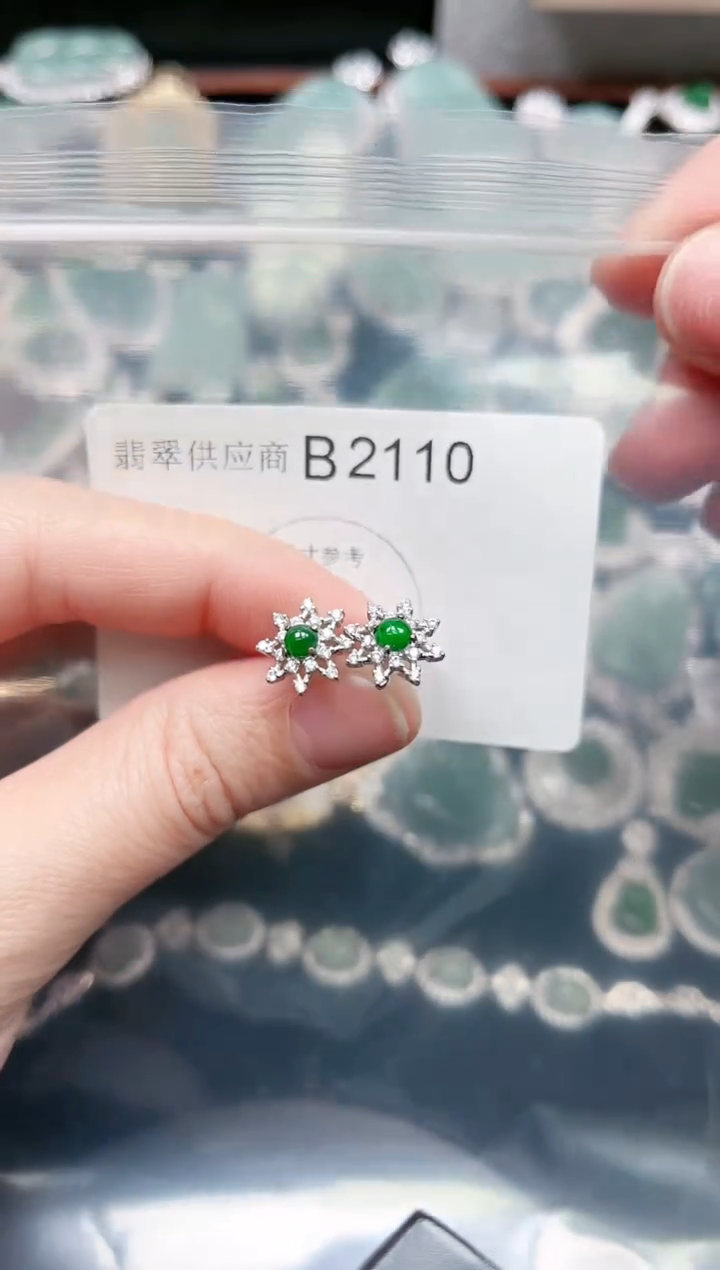 【闪购商品】翡翠颈饰未镶嵌赠皮绳2110