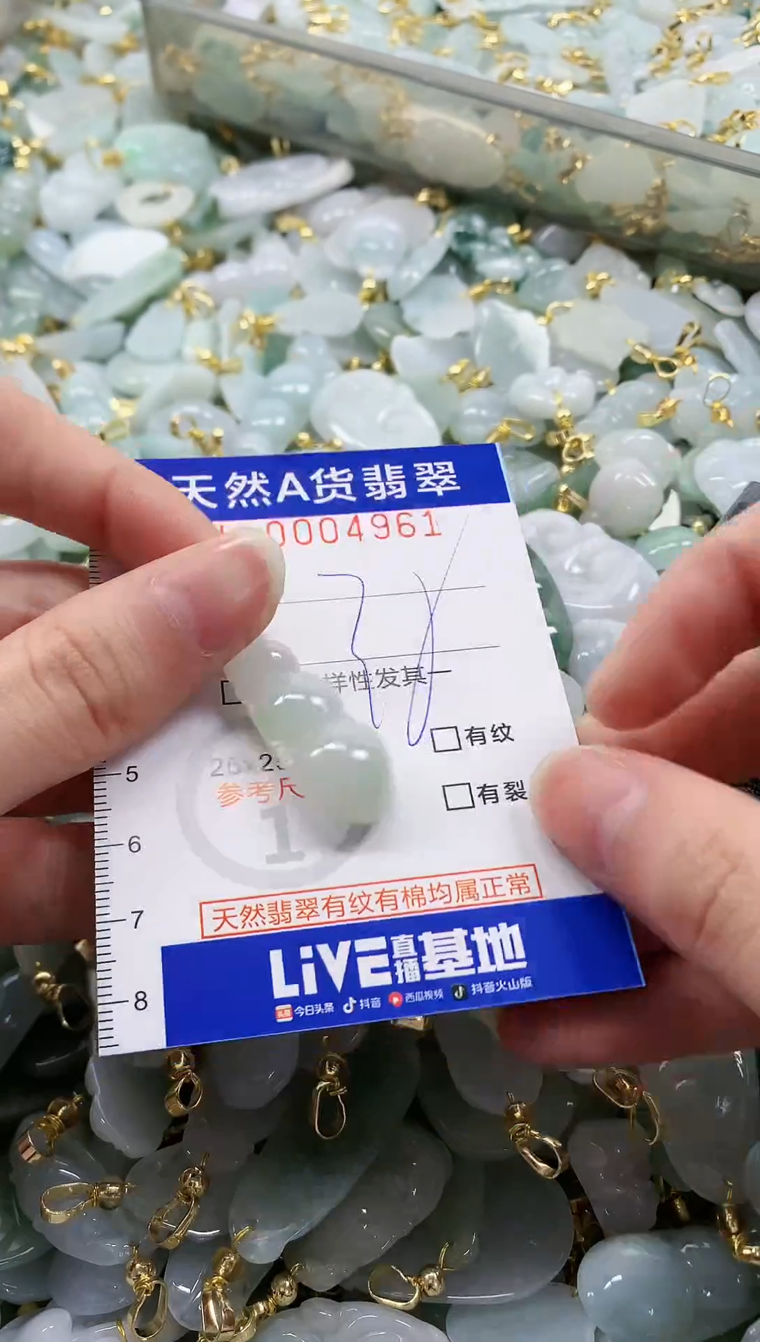 颈饰未镶嵌翡翠纯天然a货翡翠