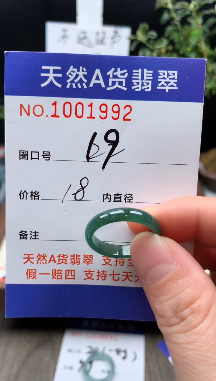 未镶嵌戒指翡翠19#