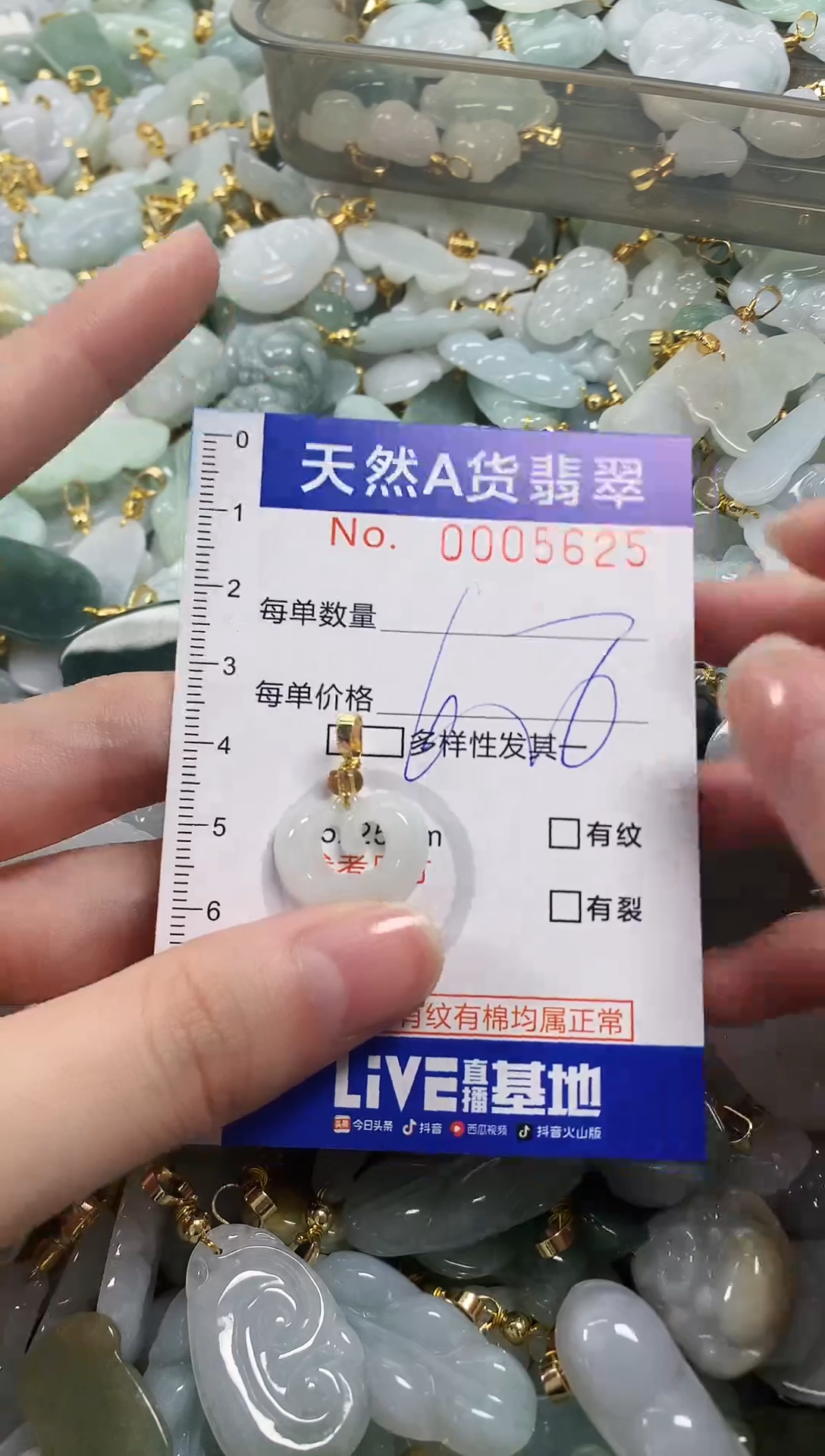 颈饰未镶嵌翡翠天然a货翡翠