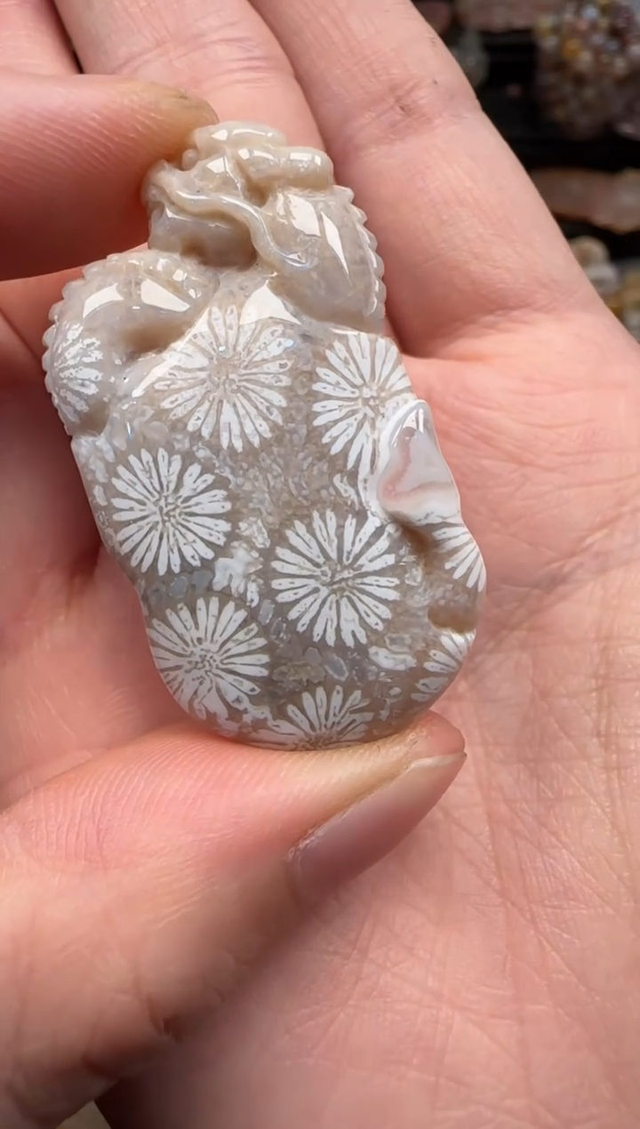 硅化珊瑚（珊瑚玉）未镶嵌颈饰529