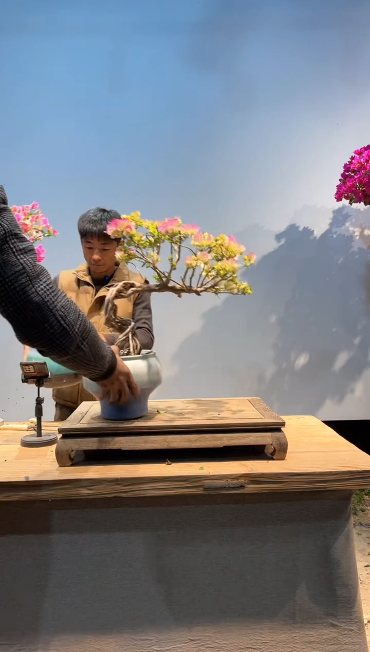 【闪购商品】AA911