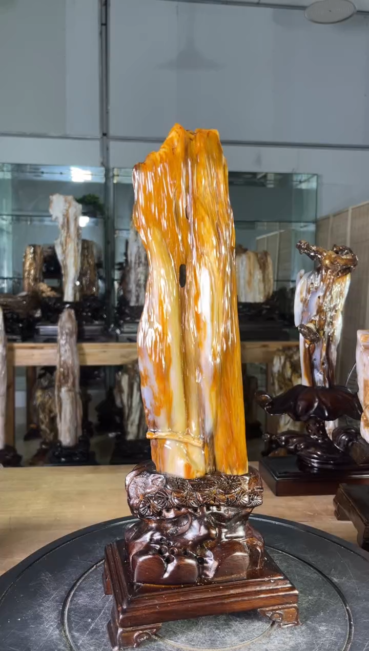 【闪购商品】硅化玉珠宝奇石未镶嵌1