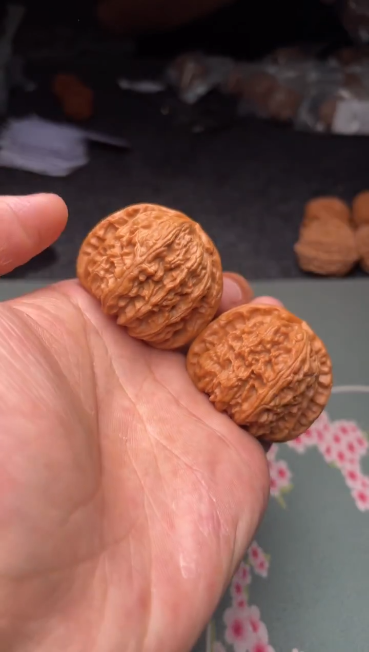 把件文玩核桃a99   白狮子  41尺