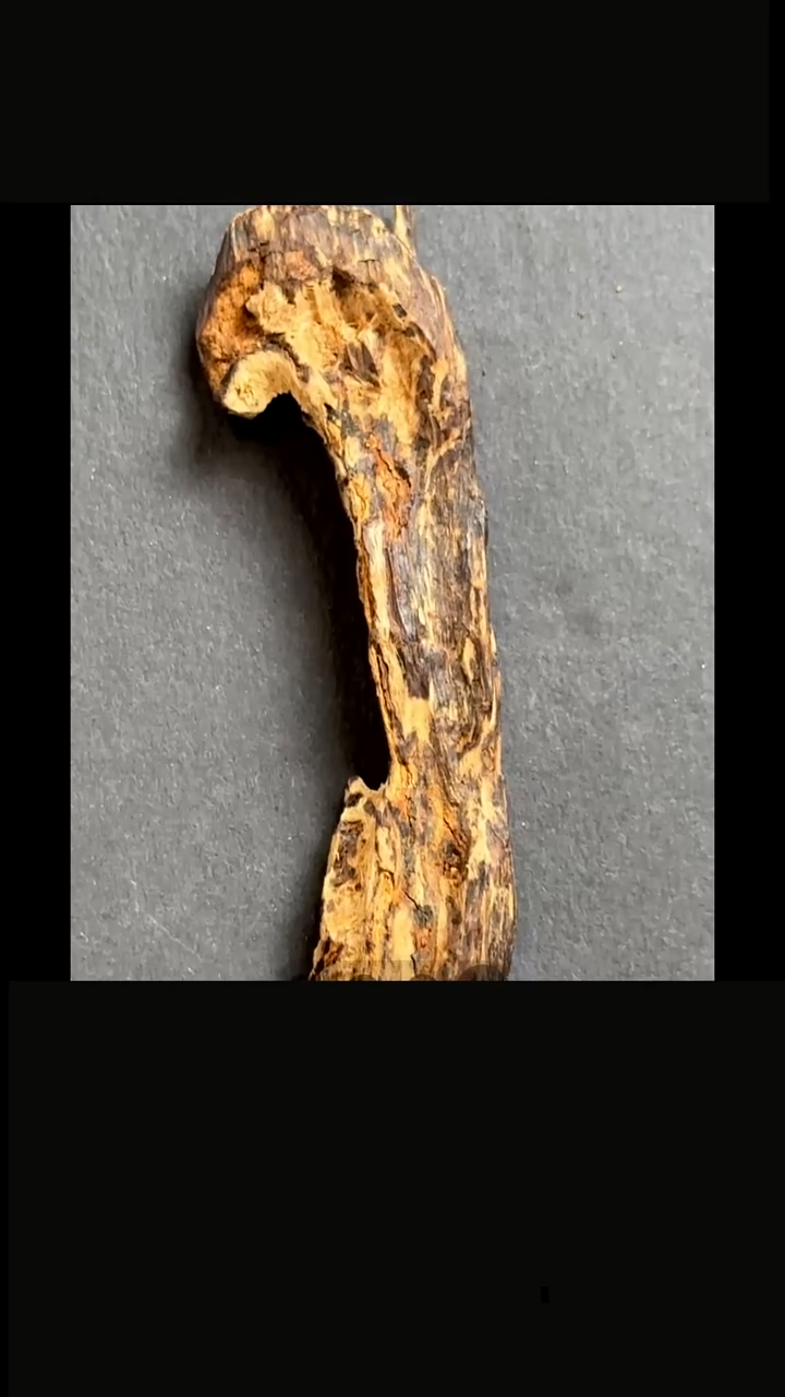 芽庄沉水树心沉香4.37克