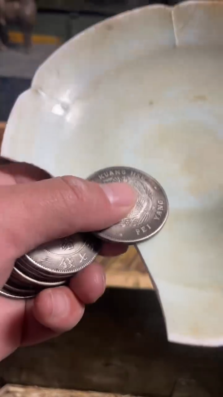 瓷片主播推荐好物