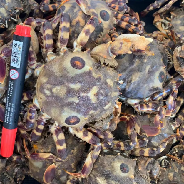 福利清蒸鬼头蟹4只只需50元嘎嘎便宜