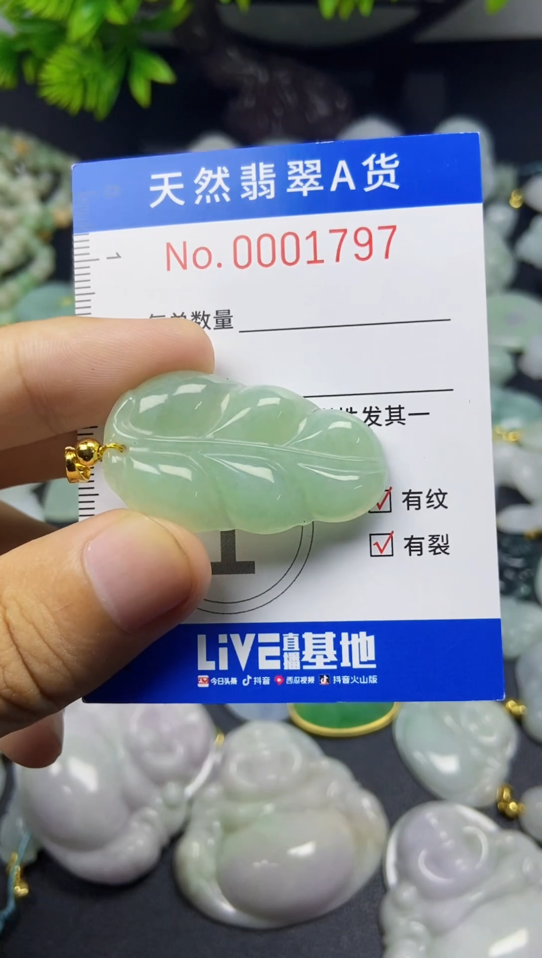 翡翠未镶嵌吊坠(不含链)翡翠