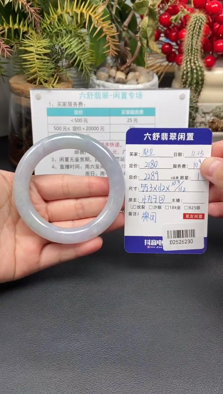 未镶嵌手镯翡翠鄰****店D2526230