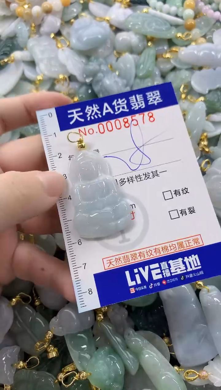 颈饰未镶嵌翡翠天然A货翡翠