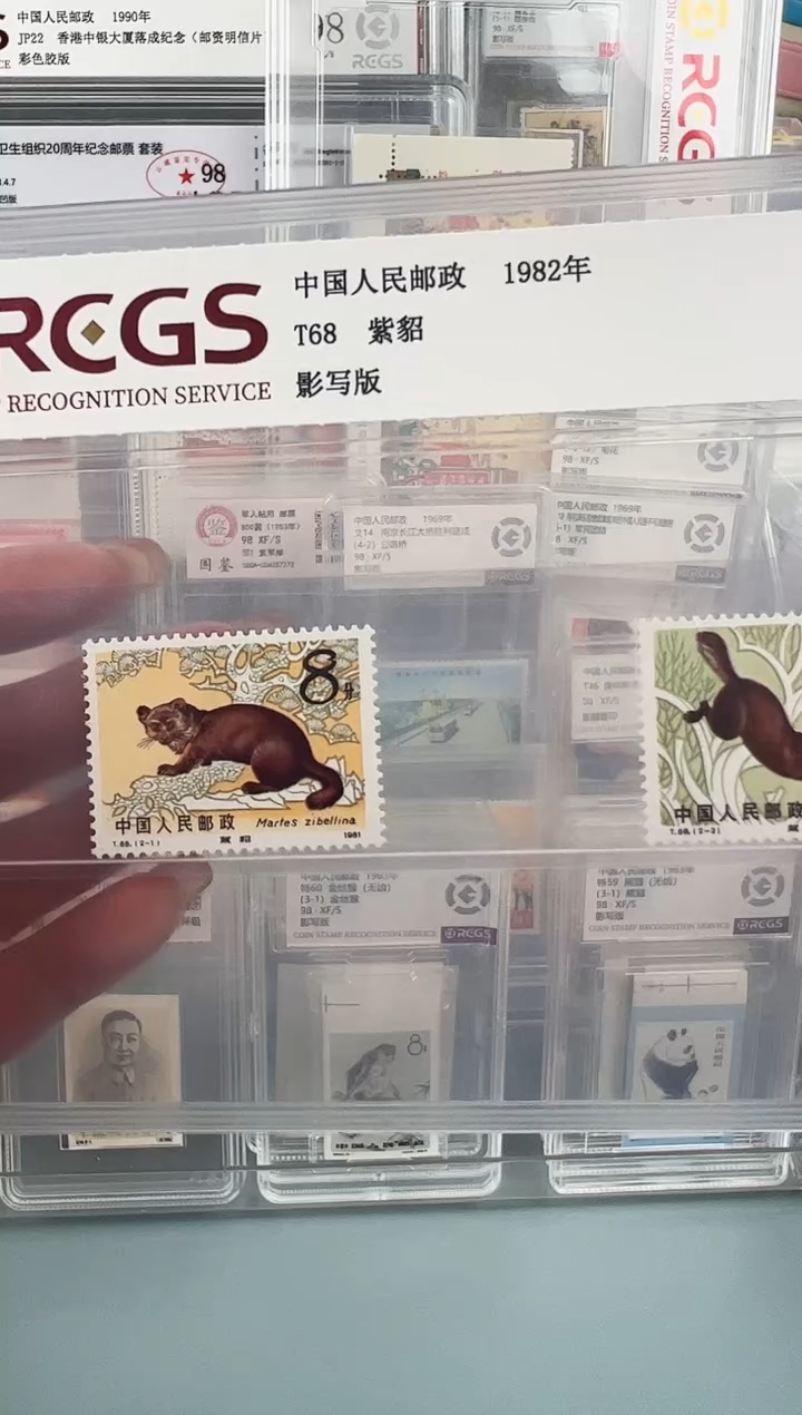 T68片装一套福利