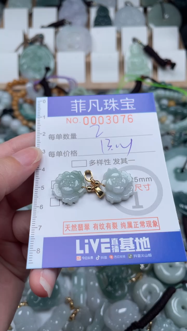 翡翠未镶嵌颈饰00..3076