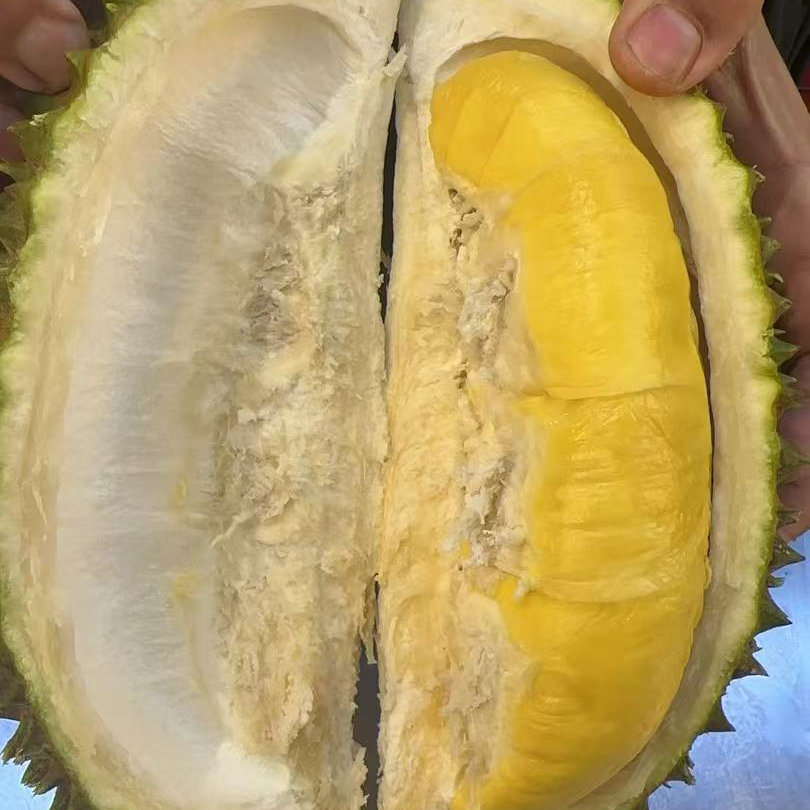 【青岛同城】马来西亚空运鲜猫山王榴莲1颗3-6斤软糯核大微苦称重