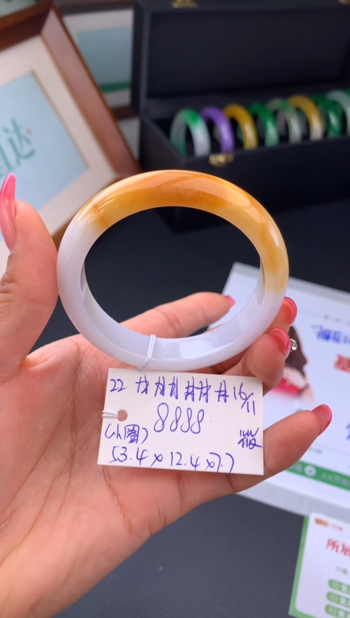 未镶嵌手镯翡翠假一赔三 手镯 