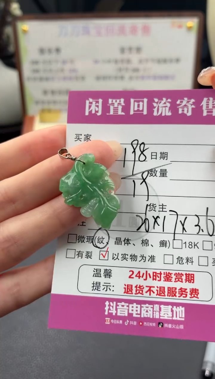 颈饰未镶嵌翡翠00003559