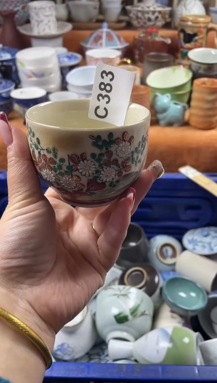 【闪购商品】C383              