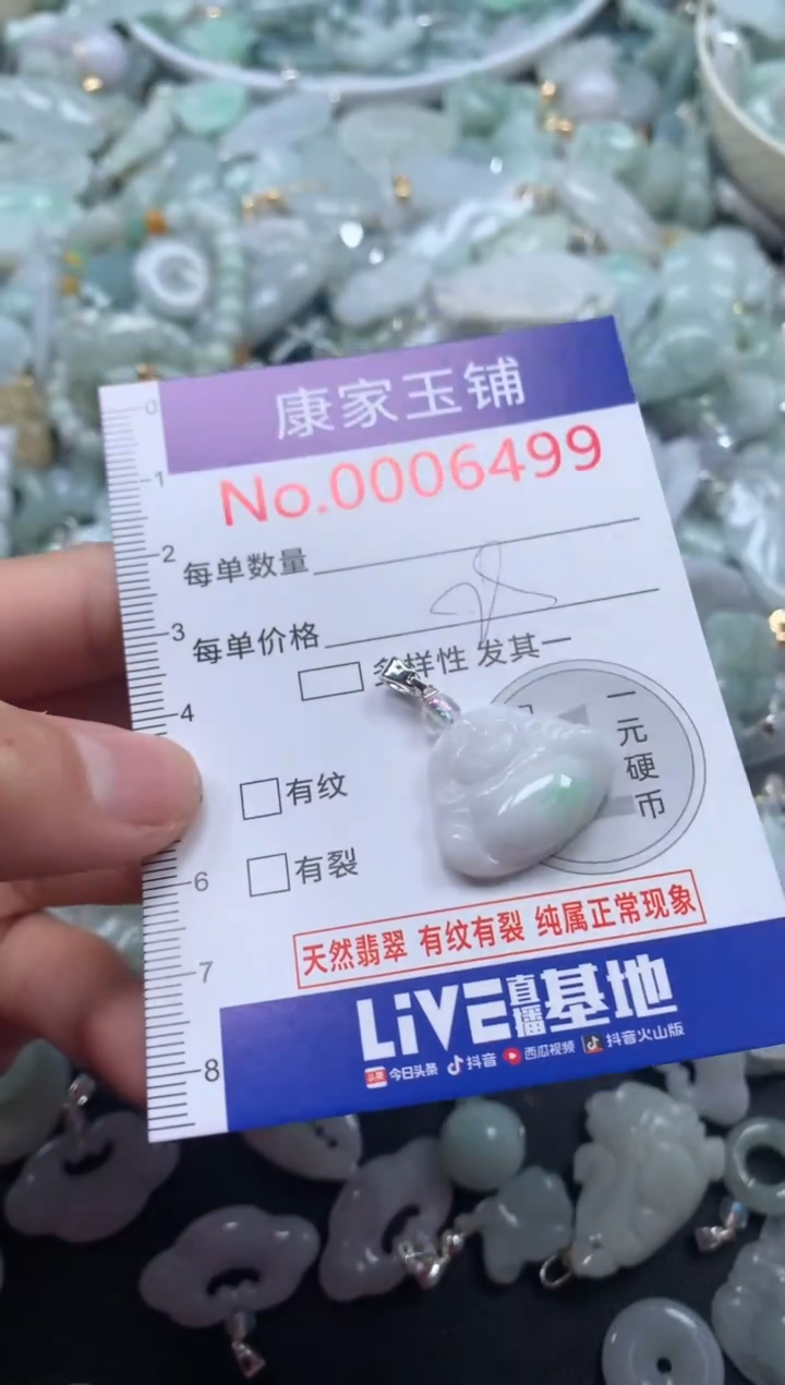 颈饰未镶嵌翡翠6499