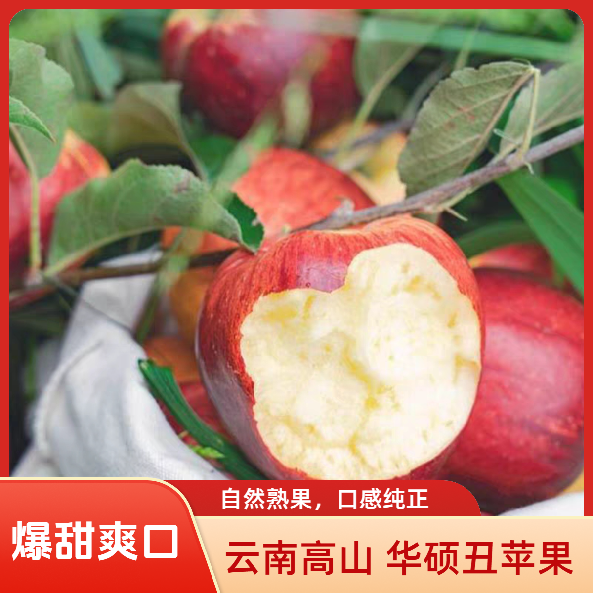 2025云南早熟华硕丑苹果产地直发 现摘现发