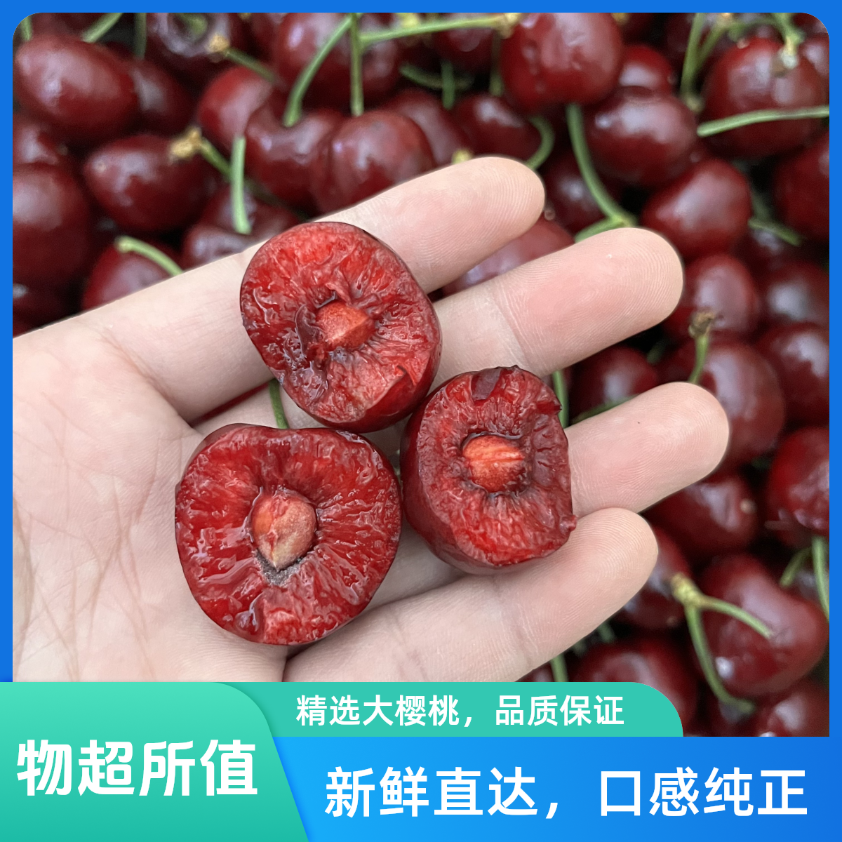 【鲜果现发】智利船运车厘桑提娜JJJ三勾
