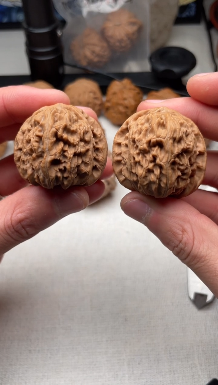 把件文玩核桃黑*郎1206-黑太郎-球白