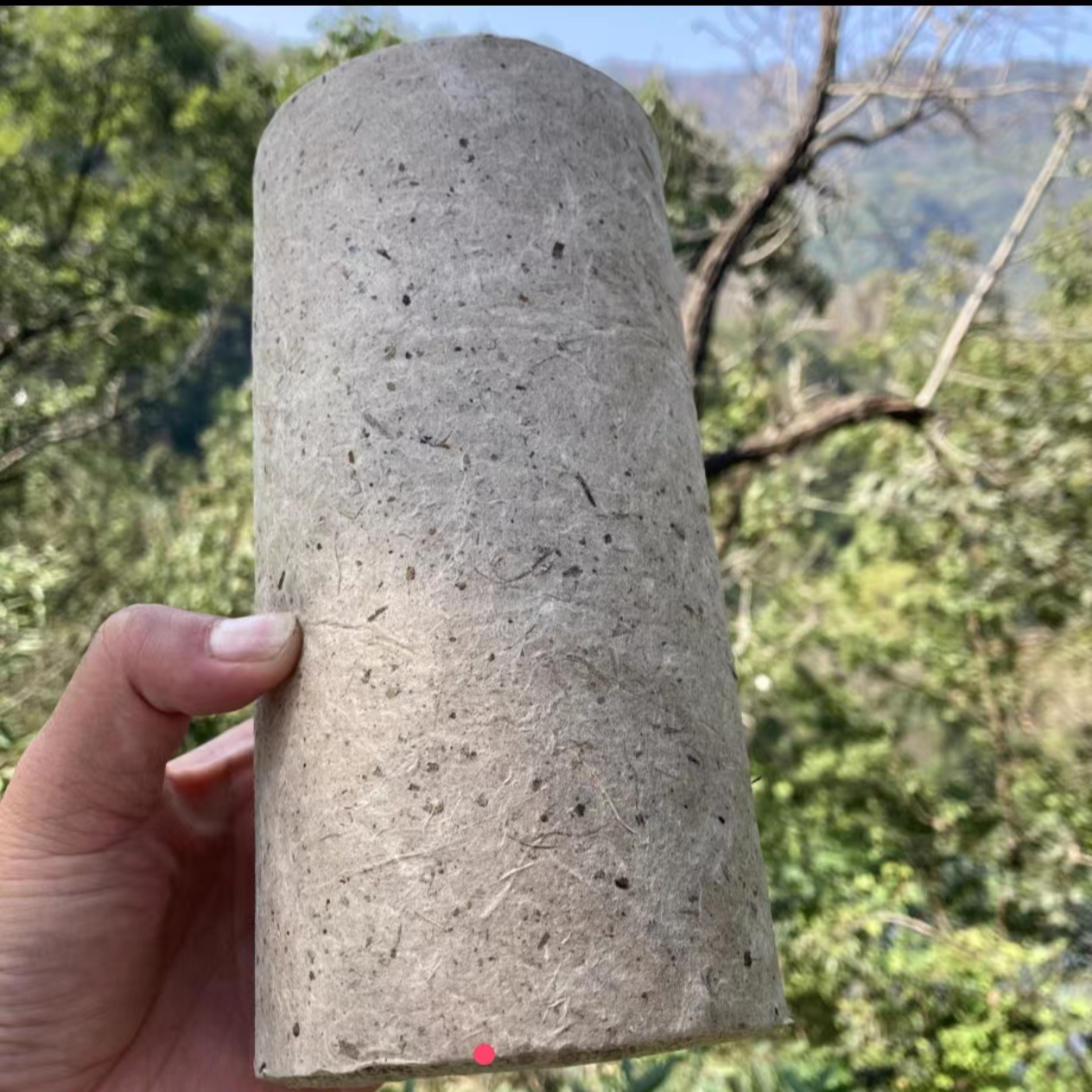 终南山野生大艾条