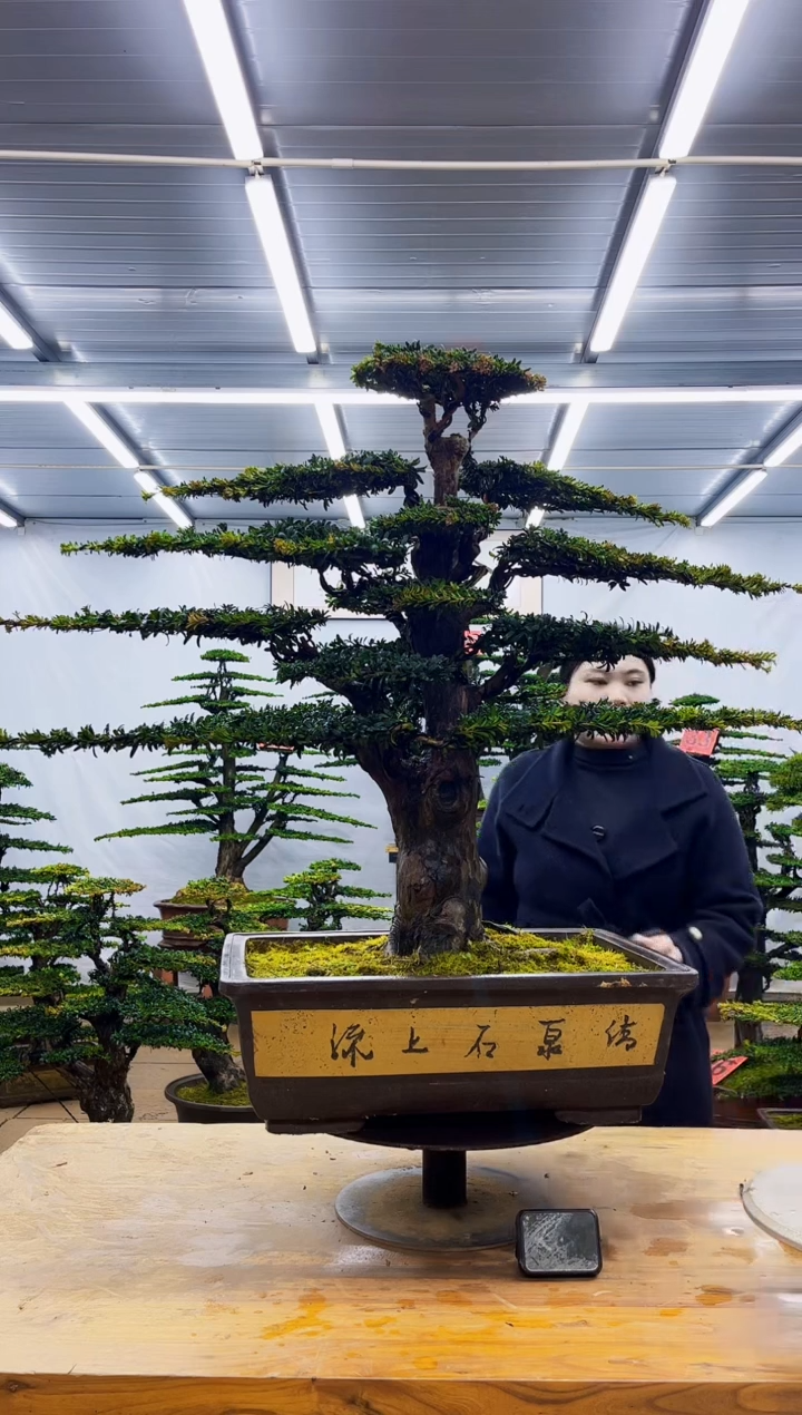 无花朵一物一拍·所见即所得