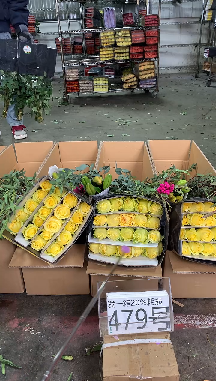 479号♥中通含20%耗损发一箱鲜花