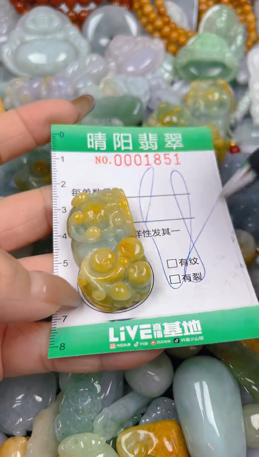 颈饰未镶嵌翡翠闪购0001851