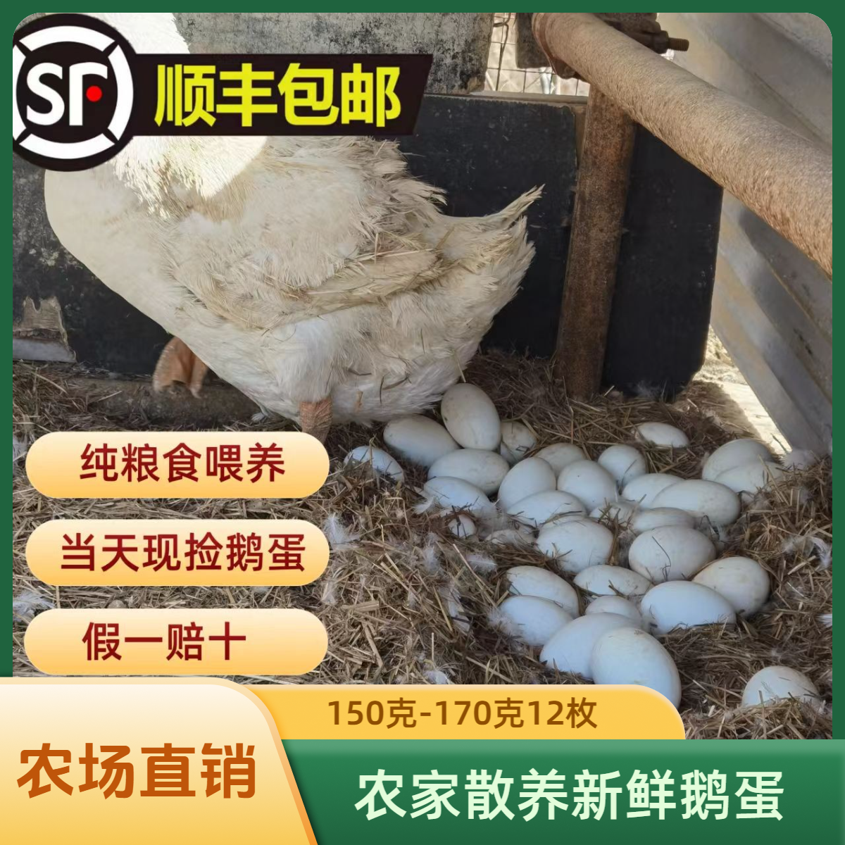 150-170克12枚-总净重≥1850克新鲜农家鹅蛋新鲜农家散养鹅蛋