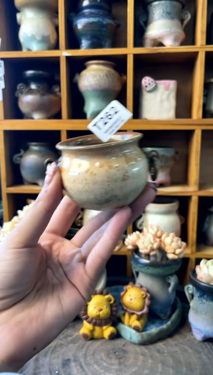 262内口5【多肉花盆多肉盆】1