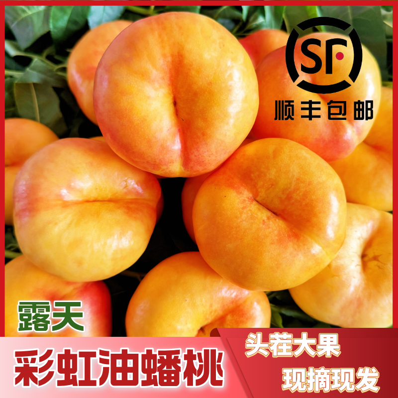 【京东顺丰包邮】蒙阴彩虹油蟠桃现摘现发黄金油蟠桃软硬两吃纯甜
