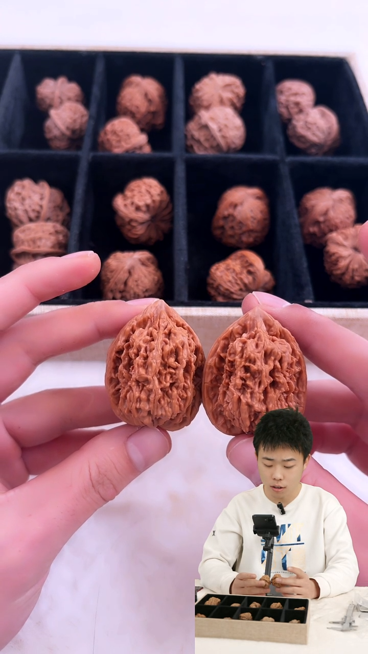 把件文玩核桃209蚂蚁王文玩核桃