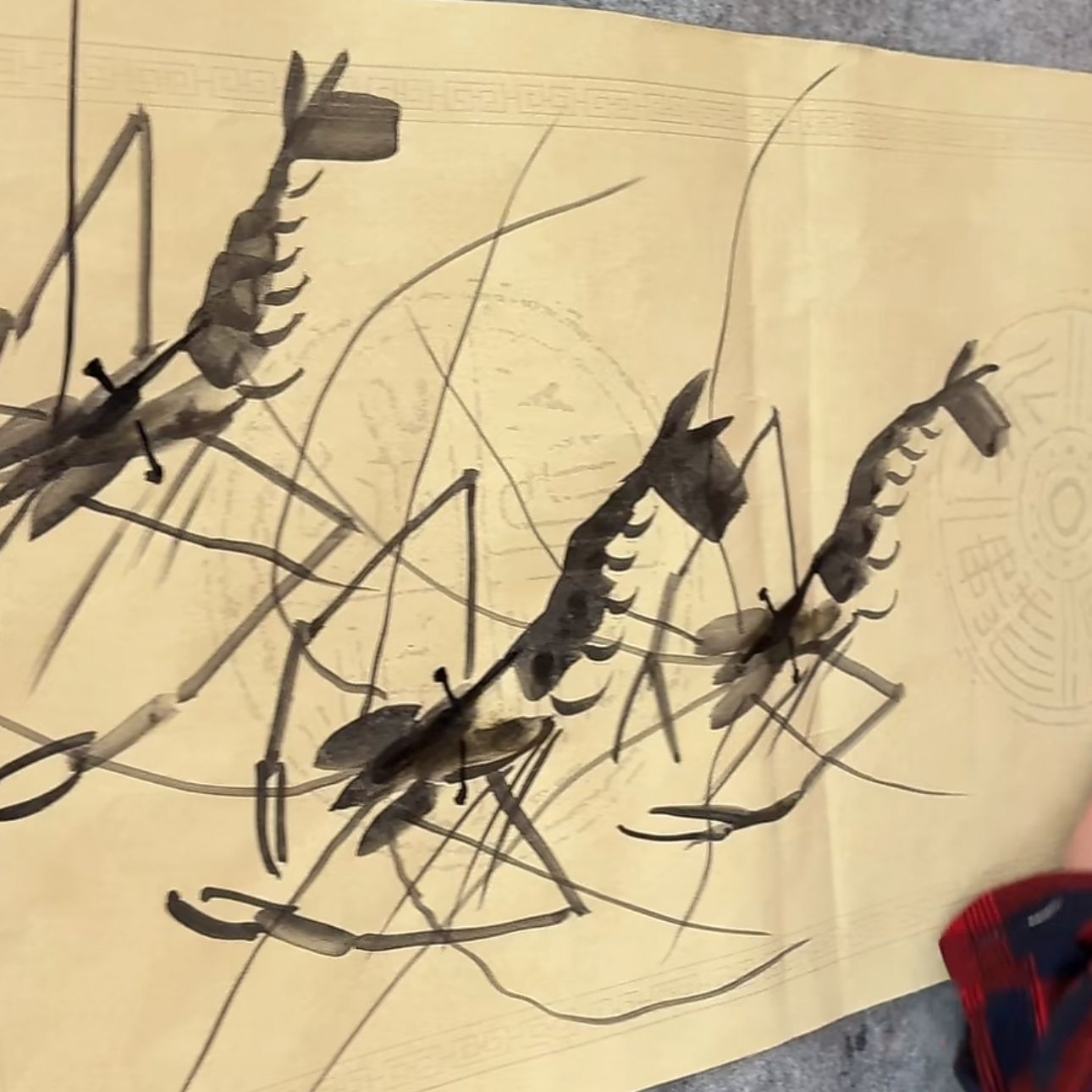 张成 《虾》二平尺 张成作品