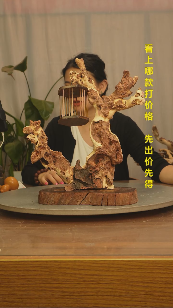 木范***生云南红河金丝红041