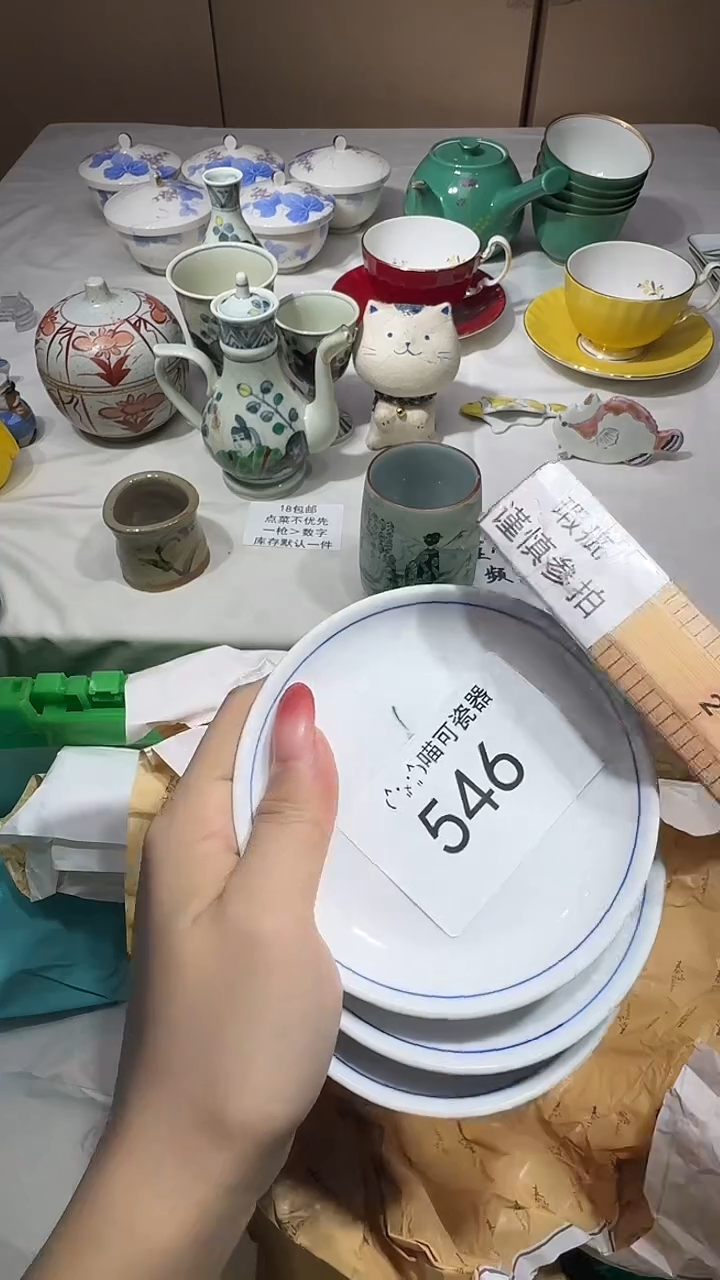 瓷片D****生定向 Dr.正经王先生 商品类目