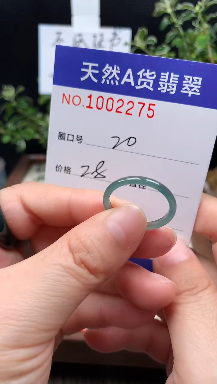 未镶嵌戒指翡翠20#