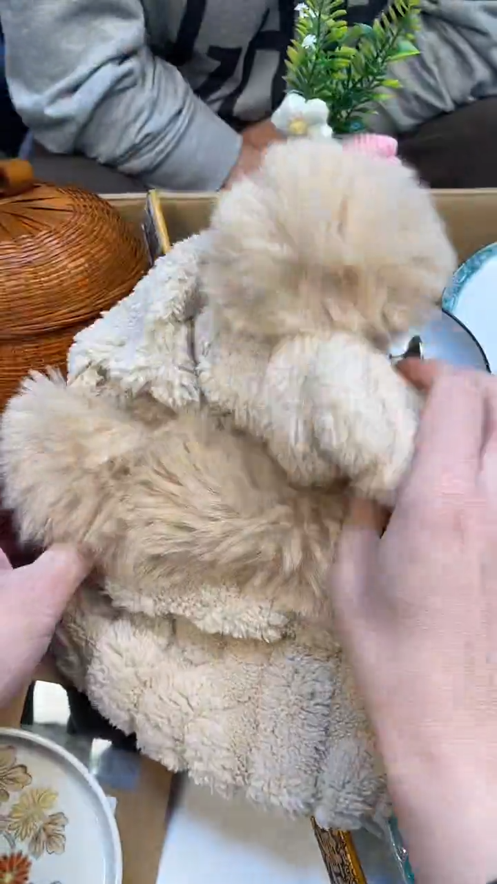 纯棉大*车如图所示 老崔精选