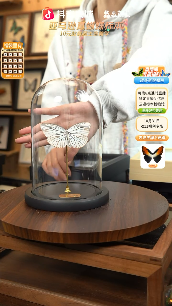 草青粉蝶玻璃罩款