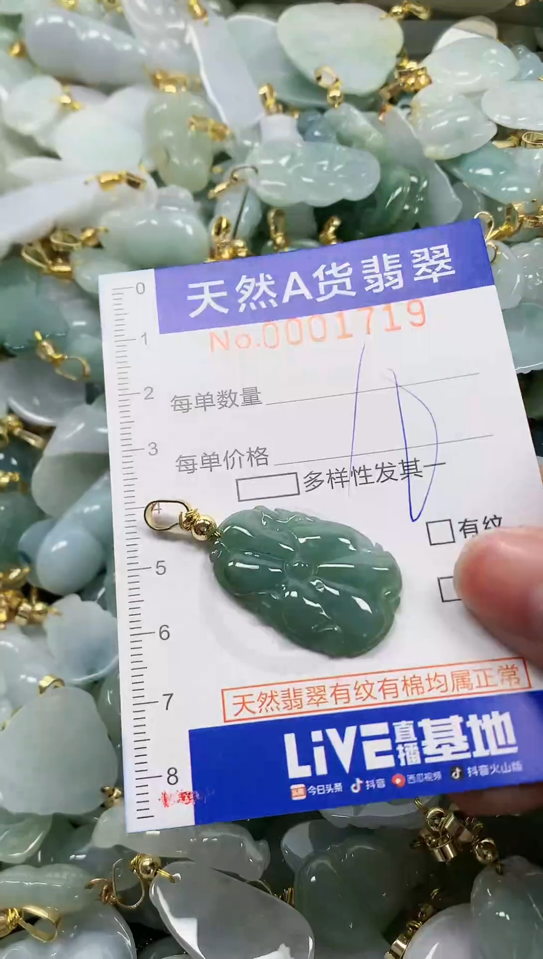 颈饰未镶嵌翡翠纯天然a货翡翠