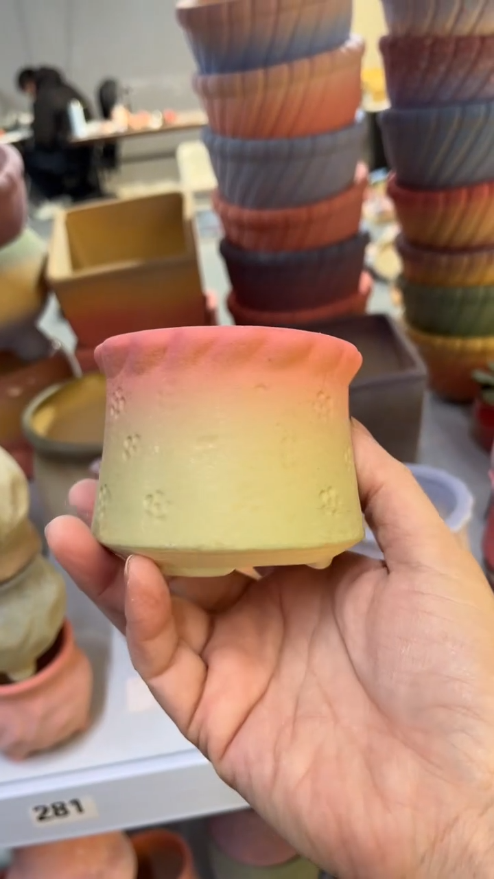 【闪购商品】红陶7*7