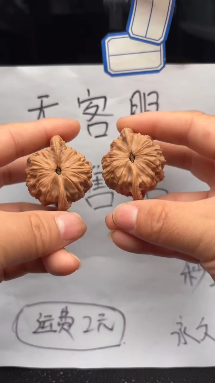 把件文玩核桃588公子帽