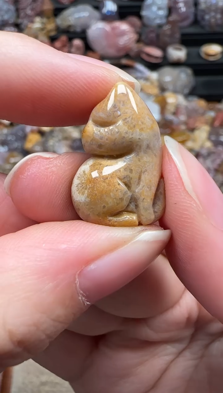 颈饰未镶嵌硅化珊瑚（珊瑚玉）736