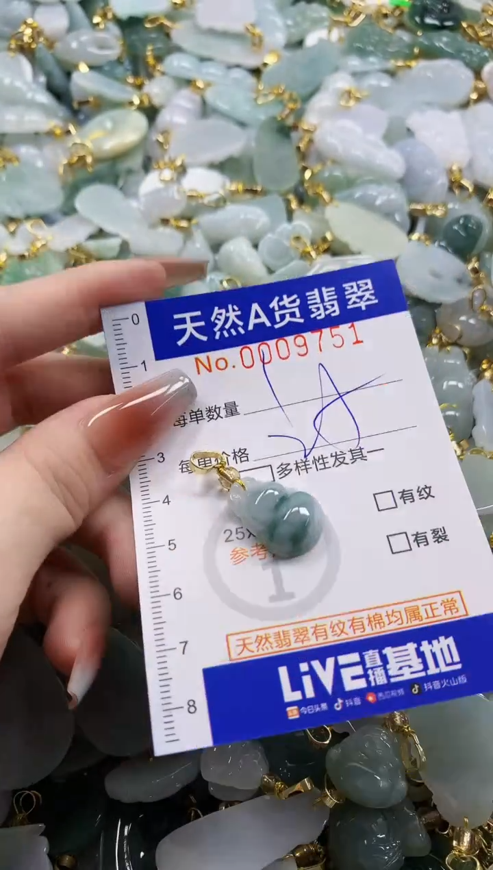 颈饰未镶嵌翡翠天然A货翡翠