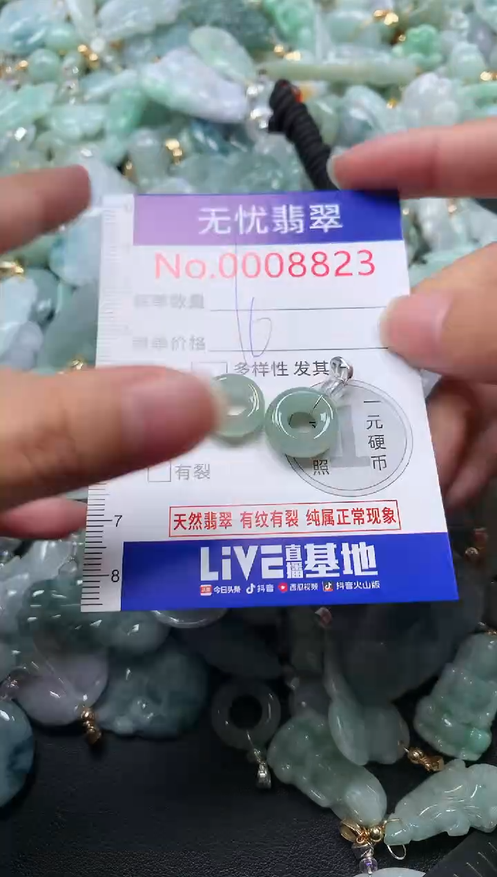 颈饰未镶嵌翡翠8823