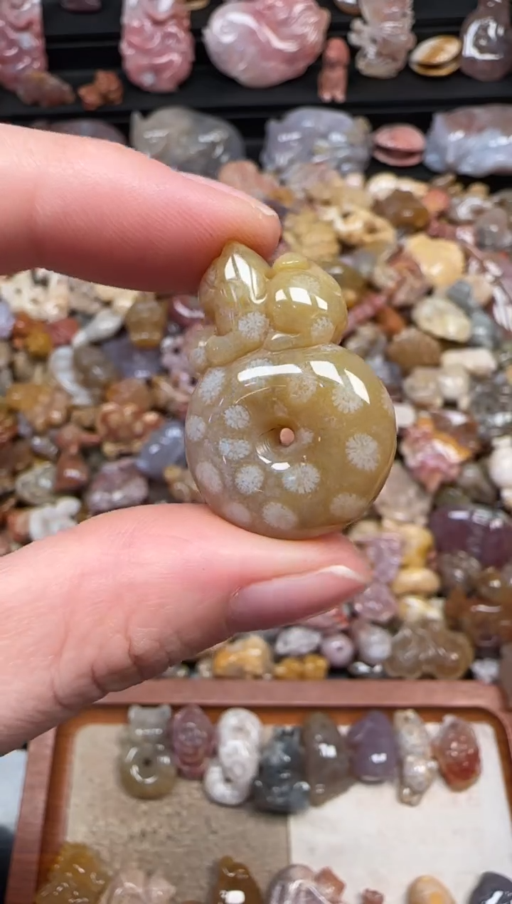 颈饰未镶嵌硅化珊瑚（珊瑚玉）585