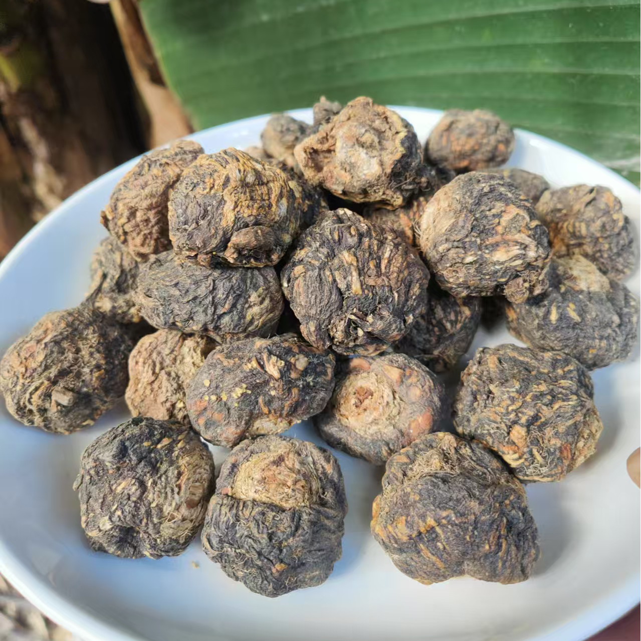 【野-M-K-菇】净含量250g-1000g【阿虎现收】