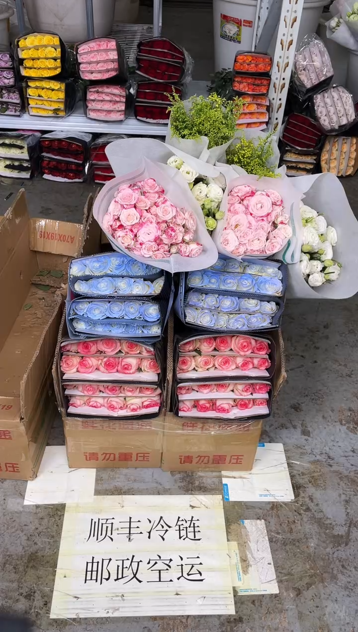 艾沙20枝+碎冰蓝20枝+折射10枝+白色洋桔梗400克+黄莺