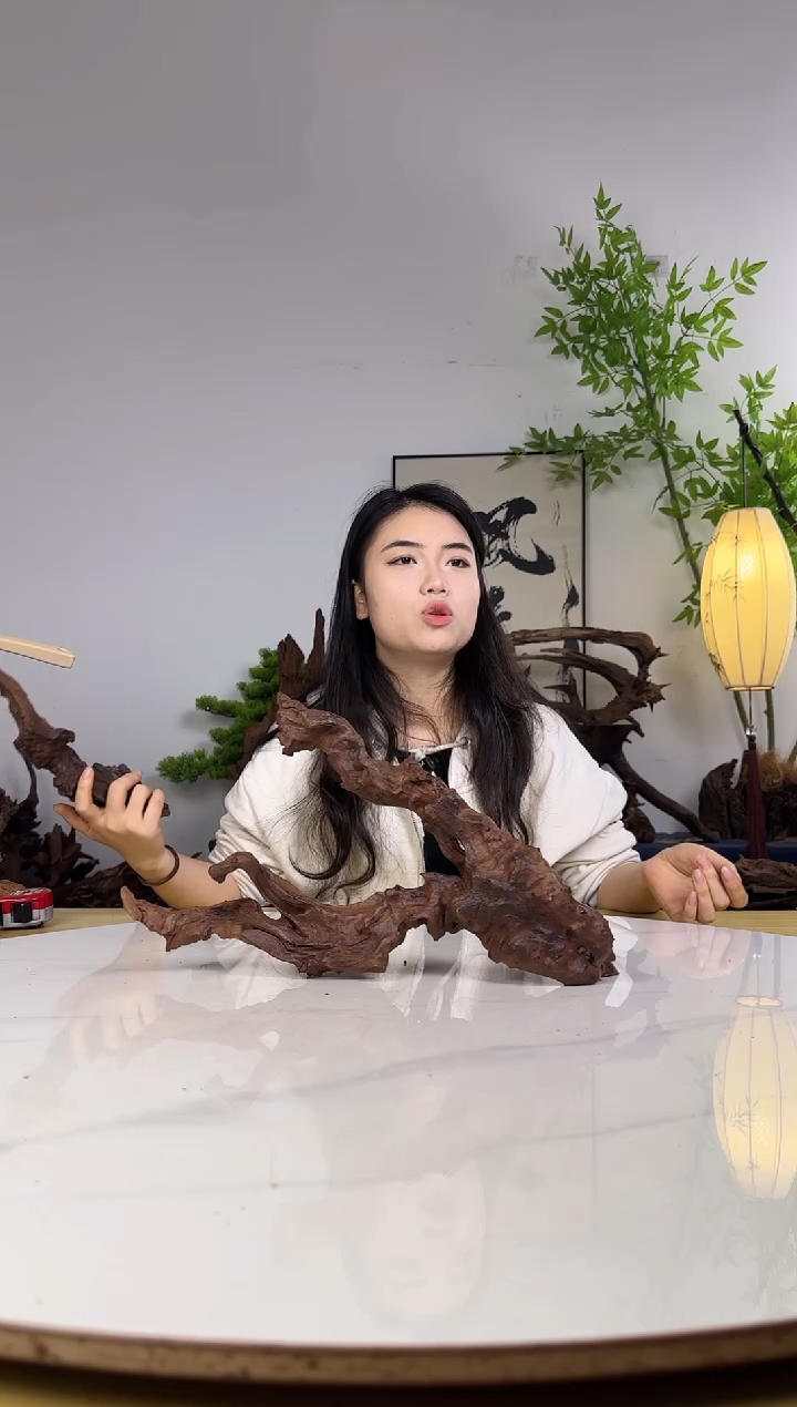 用****1拍沉木定向链接编号8