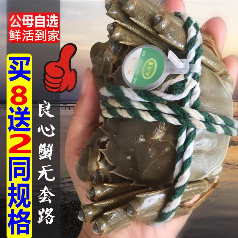 【活蟹】大号公母搭配大闸蟹公4.2-4.5母3.2-3.5两 6只 8只 10只